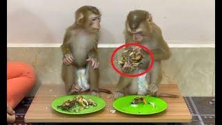 OMG!! Sovan & Sovanny Look Very Curious & At Surprise For New Dinner Treat Menu, WHAT IS IT?