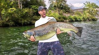 World RECORD Trout: Short Documentary- ChasingThe River Monster!