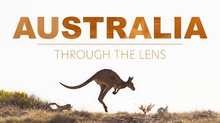 Australia Through the Lens  -  NATURE PHOTOGRAPHY DOCUMENTARY