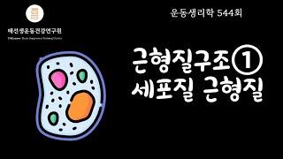 【544회】 근육수축을 위해 필요한 요건들-근형질구조물① 근세포, 근섬유 기출4-1_2_3