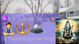 Aum Namah Shivay by Parikshit Kumar Singh