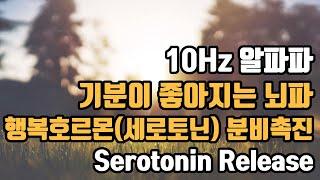 기분이 좋아지는 뇌파명상 | 10 Hz 알파파 - 행복호르몬, 세로토닌의 분비 촉진 | 10 Hz EEG - Happy Hormone (Serotonin) Release