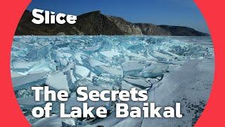 Lake Baikal: A biological treasure trove | SLICE