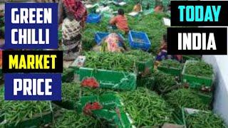 Green chilli price today INDIA 04 SEPTEMBER 2023