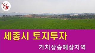 _ 세종시연동면응암리 전 매매