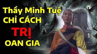 Thầy Thích Minh Tuệ chỉ cách trị oan gia trái chủ | Quán Trọ Nhân Sinh