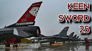 Keen Sword 25: Mitsubishi F-2, USAF F-16 JASDF Tsuiki, Fukuoka, Japan Air Base - Airailimages