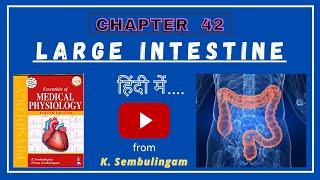 Large Intestine Structure and Function || Physiology of Large Intestine || GIT || MEDICOZEE