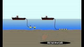 Hydrocarbon Detection