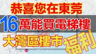 大灣區東莞樟木頭 | 火車站樓盤 | 工薪族也可以系大陸按揭分期買樓 | 星耀國際電梯1房 | 小區近天和百貨＋大潤髮商超 | 搭車4分鐘到樟木頭火車站，搭火車25分鐘到羅湖火車站