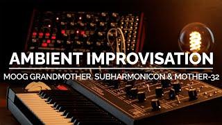 Moog Grandmother, Mother-32 & Subharmonicon - Ambient Improvisation