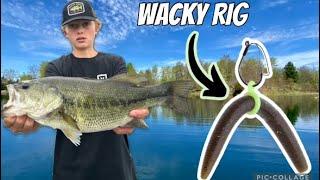 Smacking bass on wacky rigs￼