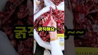 빻아주는 값이? 이렇게 싸도되유? #고추 #시장 #shorts