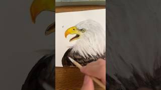 Painting an eagle with my new jelly gouache set!  