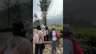 BIKIN PANIK! SUARA TERIAKAN PRIA MINTA TOLONG⁉️#viral #shorts #jin #hantu #misteri #gunung #short