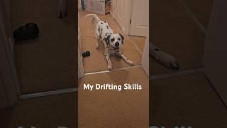 Dog Drifting Skills #drifting #dog #pet #doglover #funny #foryoupage #fyp #viralvideo #viralshorts