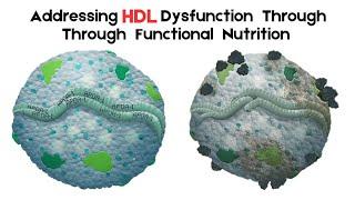 Addressing HDL Dysfunction Through Functional Nutrition