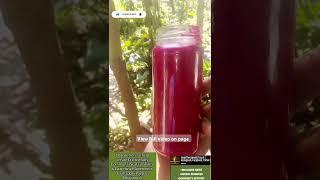 #POV You just found the perfect Smoothie for your Gut /Womb #Health #food #beauty #lifestyle