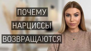 ПОЧЕМУ НАРЦИССЫ ВСЕГДА ВОЗВРАЩАЮТСЯ? 