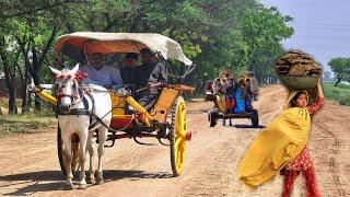 100 Year Old Culture Of Village Punjab Pakistan Near India Pakistan Border