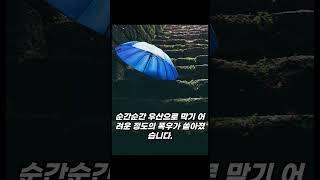 대한민국 폭우 장마 2025 #폭우 #장마