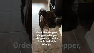 POV dog ordering at Burger King #burgerking #dogs #trending ￼