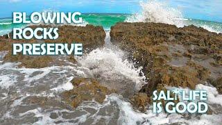 Blowing Rocks Preserve on Jupiter Island, Florida During Hurricane In Atlantic, Huge Waves!