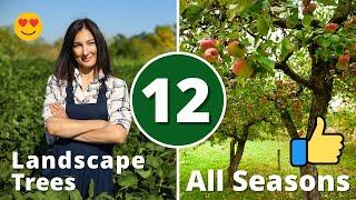 THE 12 BEST LANDSCAPE TREES!!! for All Seasons 