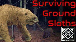 Are Ground Sloths Still Alive?