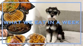 What we eat in a week | Pork Cutlet Kimchi Udon | Kimchi Jeon | Waffle | K-Food | To the Dog Park