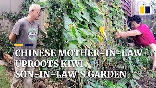 Chinese mother-in-law uproots Kiwi son-in-law’s garden, turns it into her own vegetable farm