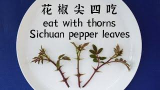 Sichuan pepper leaves【EN CN】花椒尖 花椒叶 中国美食 Chinese food chinese prickly ash