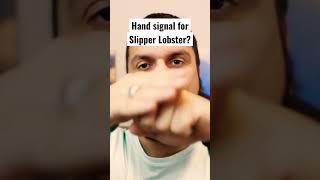 What is the Hand Signal for Slipper Lobster? Scuba Diving Hand Signals