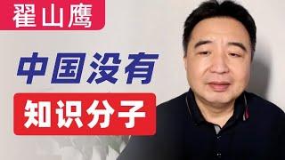 翟山鹰：中国没有知识分子