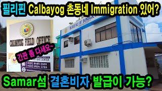 필리핀의 결혼 비자, Marriage visa, 발릭바얀 (Balikbayan visa), 필리핀 영주권 PRV(13A), 필리핀 CALBAYOG
