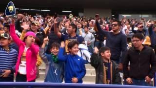 Color - Pumas vs. América