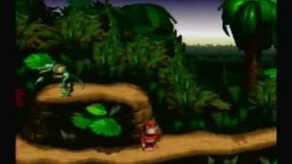 Ricky's Reviews - DONKEY KONG COUNTRY