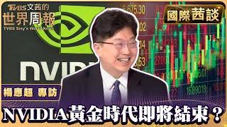 我們進入股災了嗎？ NVIDIA股價劇烈震盪黃金時代將結束？【#國際茜談 #專訪】#陳文茜 #楊應超 @tvbssisysworldnews