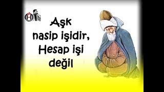 Hz. Mevlana Sözleri  '' Aşk nasip işidir, Hesap işi değil "  ( İlaç Gibi ) 