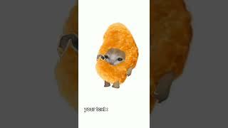 nugget cat #music #nugget #cat #memes