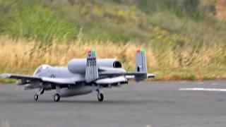 Free Wing Thunderbolt II A-10, Maiden Flight!