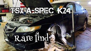 What special about acura tsx a-spec? || Pham’s Legend