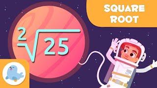 THE SQUARE ROOT  What is the Square Root? ‍ Math for Kids