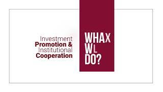 Investment Promotion & Institutional Cooperation