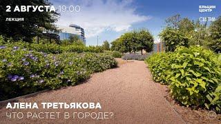 Алена Третьякова. Что растёт в городе?