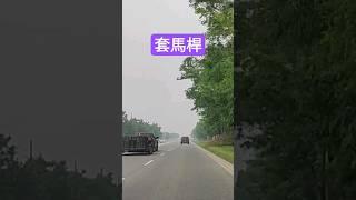 《套馬桿》龍婷及好友唱 l 奔馳於多倫多萬錦市大道(McCowan Road)上 l S53