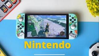 Nintendo Switch OLED Accessories you NEED