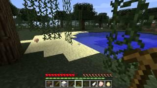 berk Atasoy ile minecraft survival mods 2