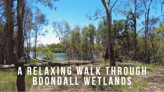 4K Virtual BushWalk ASMR - Boondall Wetlands