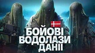 Як працює ССО Данії? Історія данських бойових водолазів